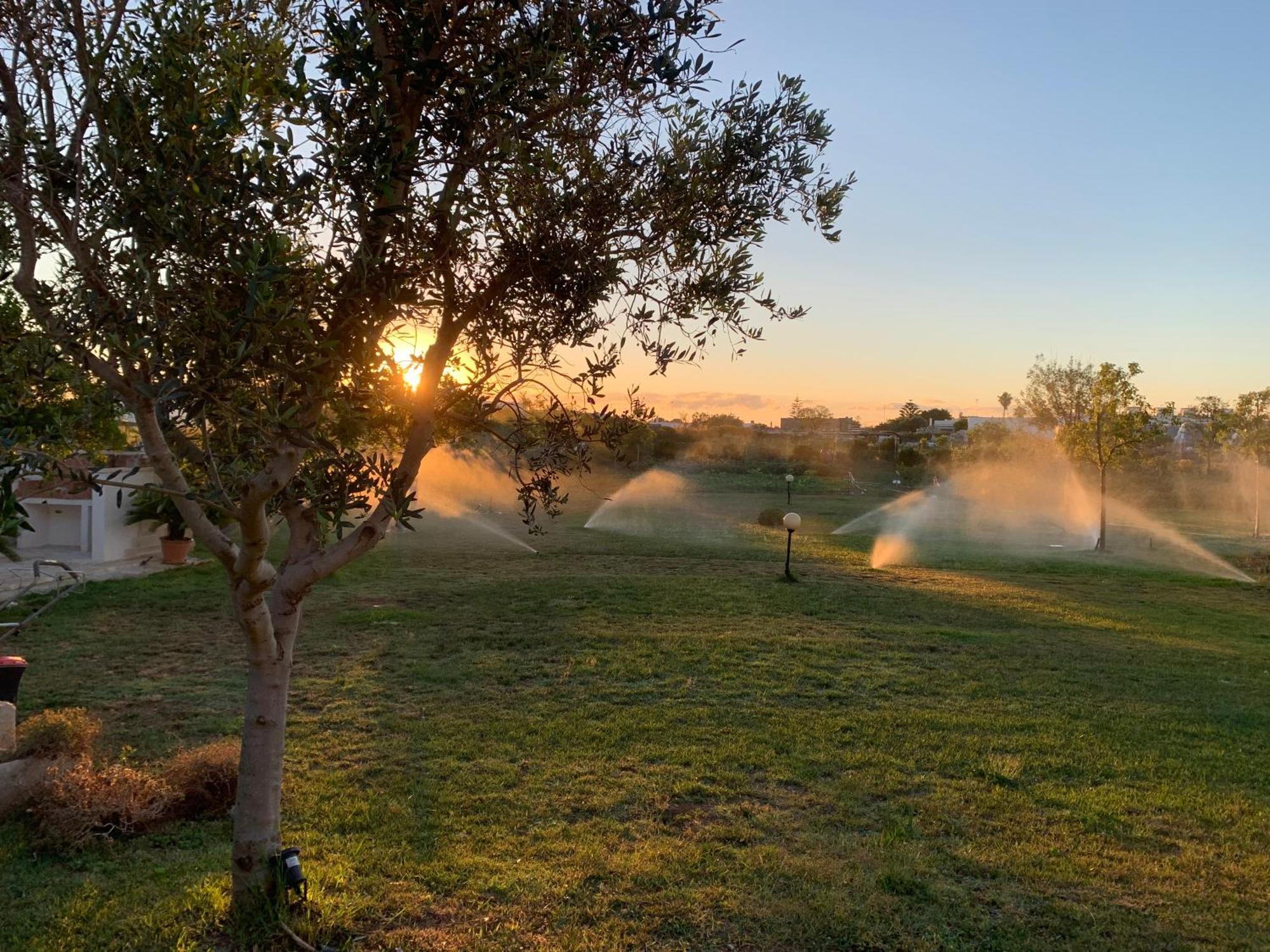 Masseria Capece Bed & Breakfast Uggiano La Chiesa Exterior foto